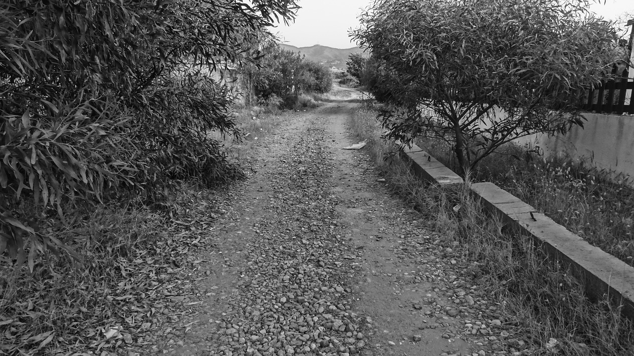 path road track free photo