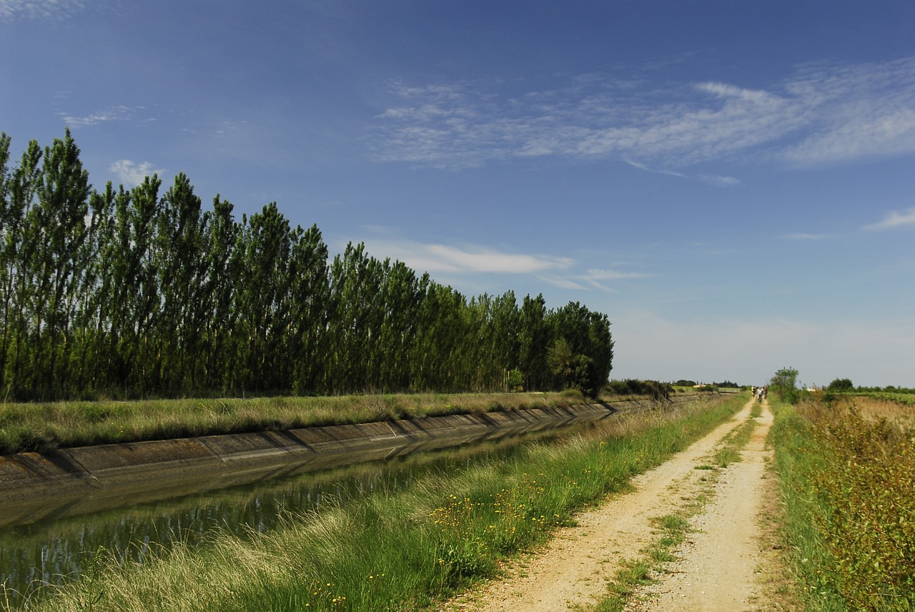 path horizon channel free photo