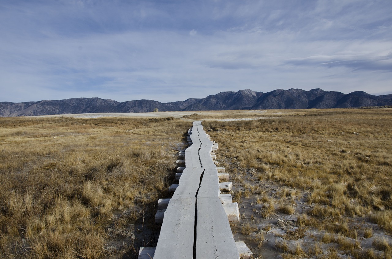 path landscape mountains free photo