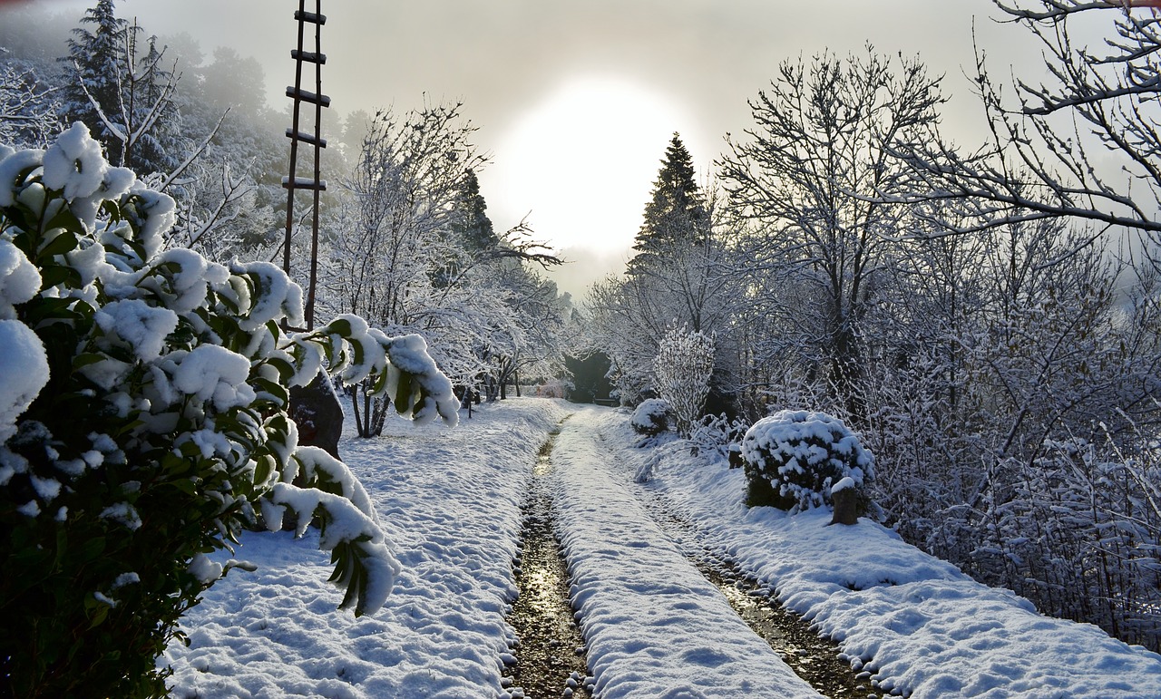 path snow cévennes free photo