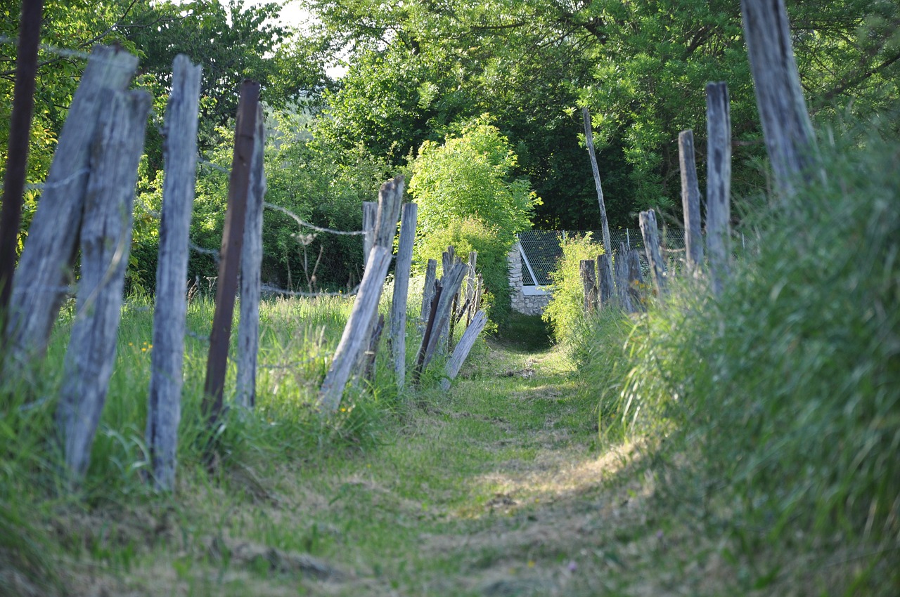 path country fields free photo