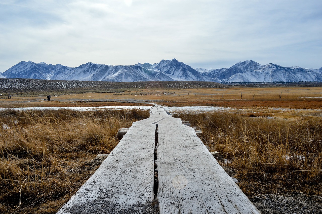 path landscape nature free photo