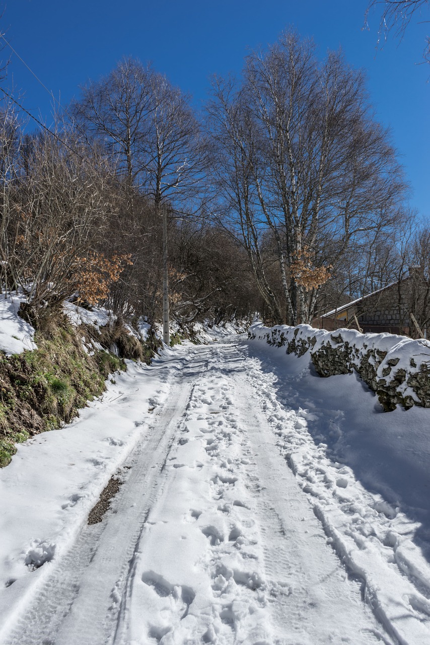 path snow nevado free photo