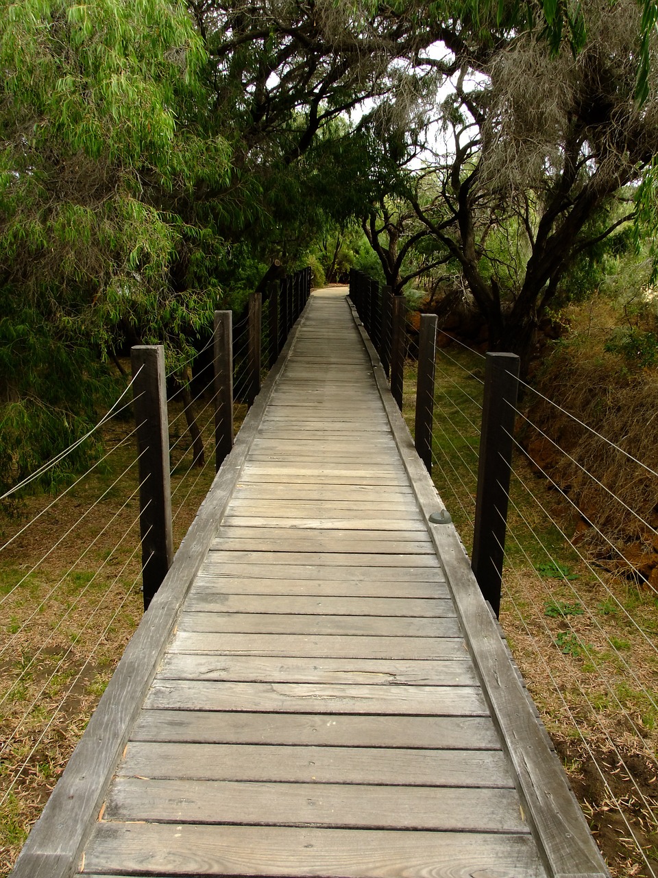 path wooden bridge free photo
