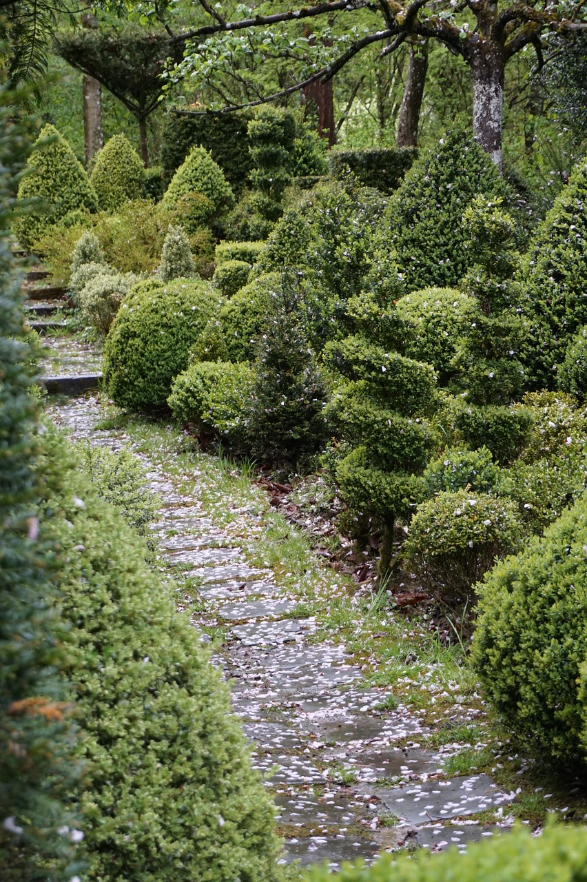 path boxwood garden free photo