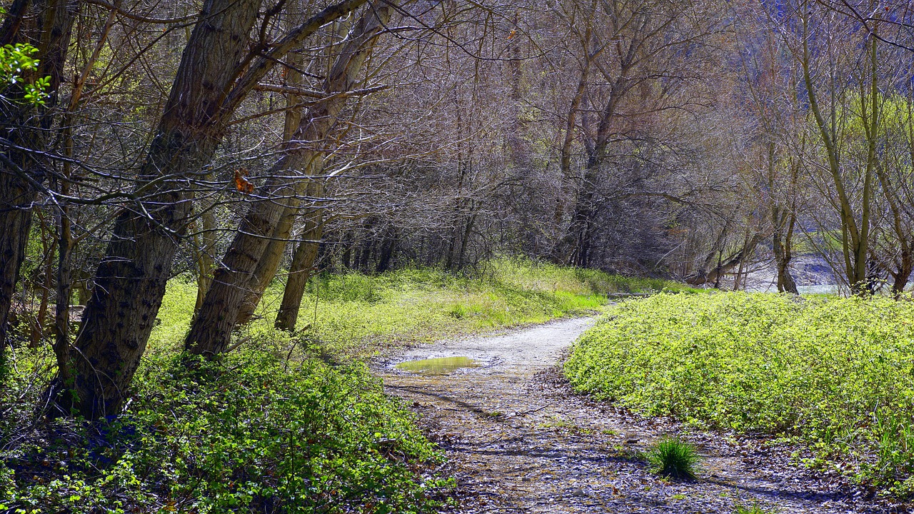 path trail landscape free photo
