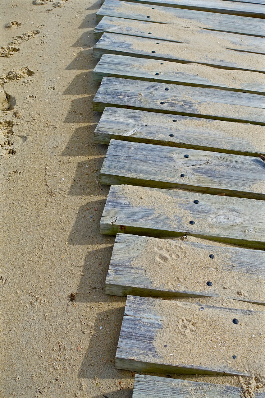 path planks wooden free photo