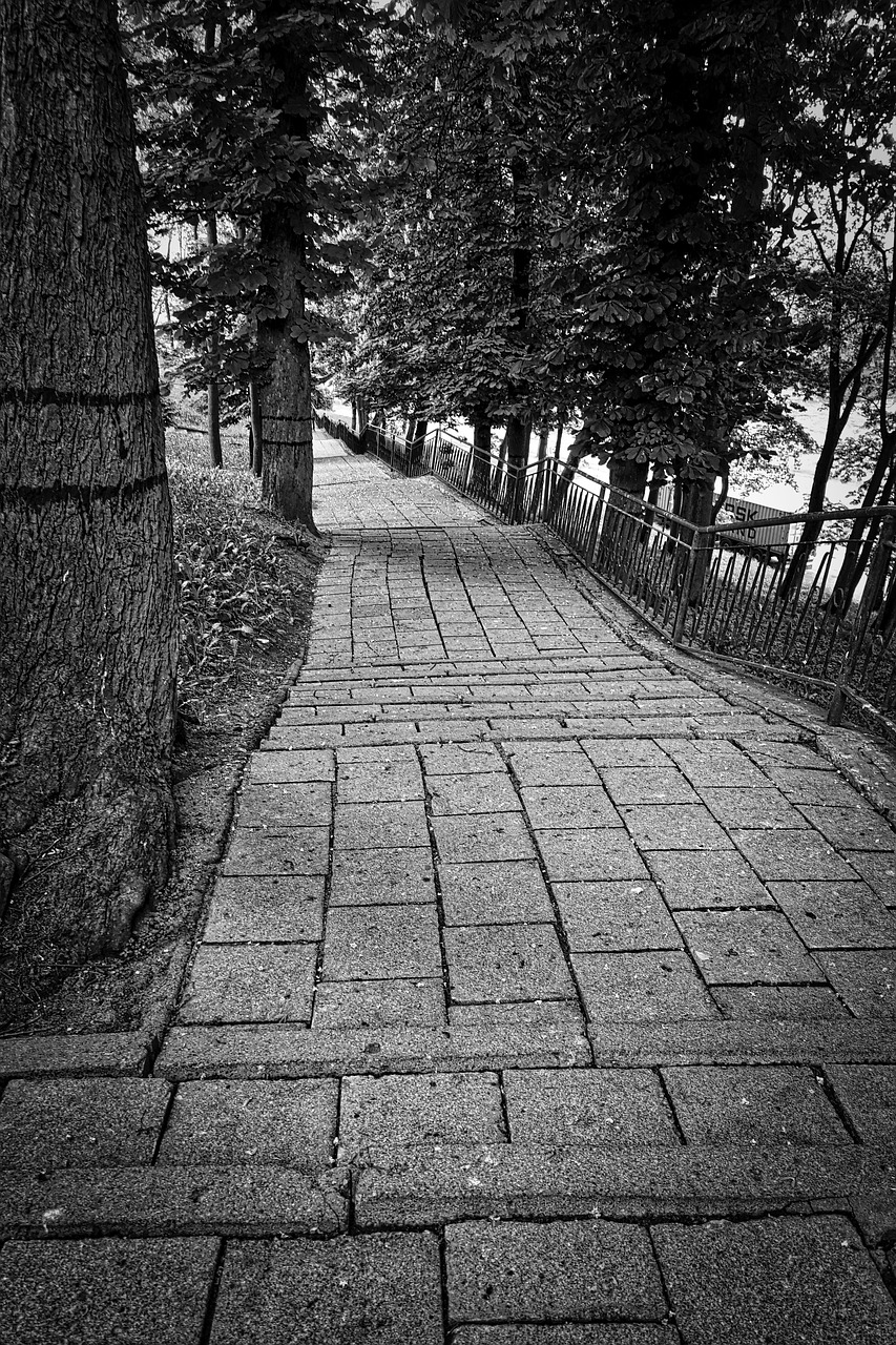 path perspective walkway free photo