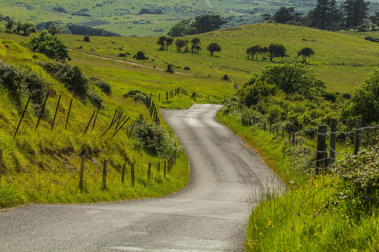 path country nature free photo