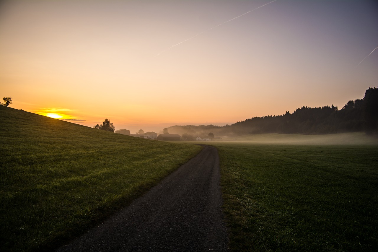 path road morning free photo