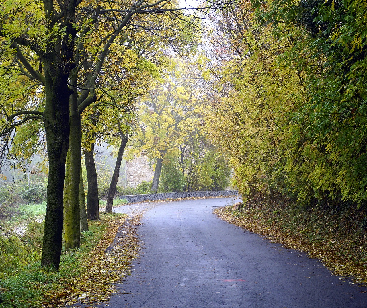 path autumn mountain road free photo