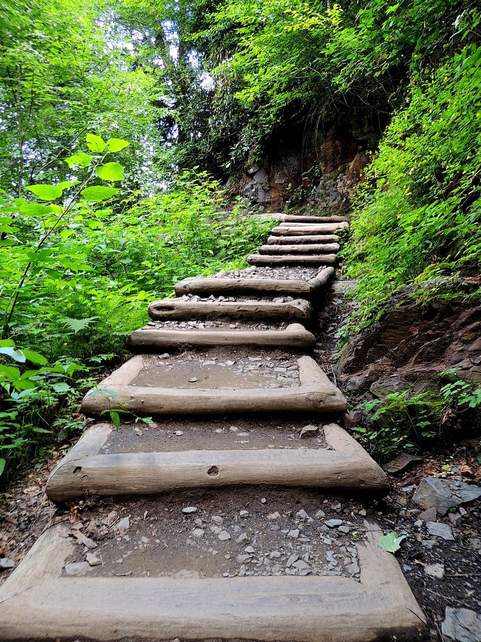path stairway trail free photo
