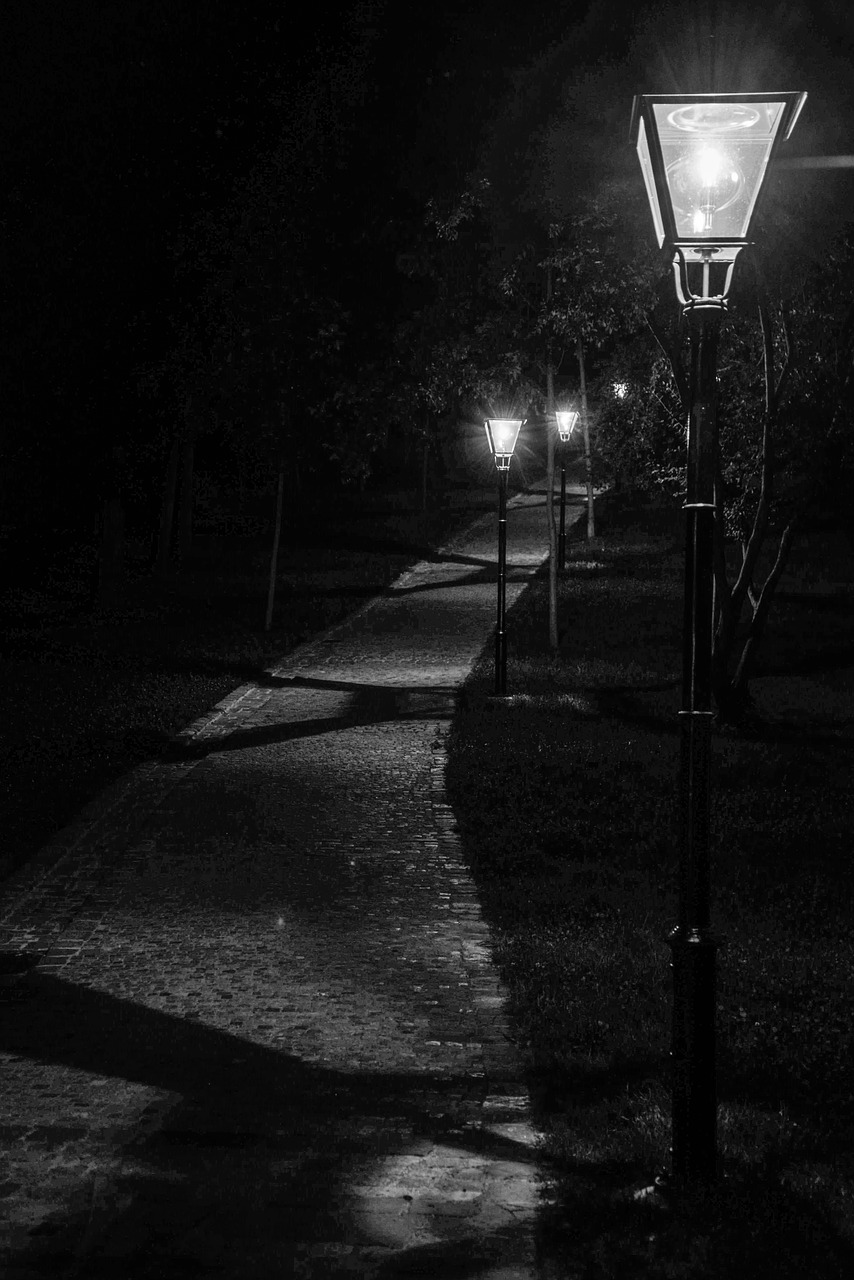 path lights black and white free photo