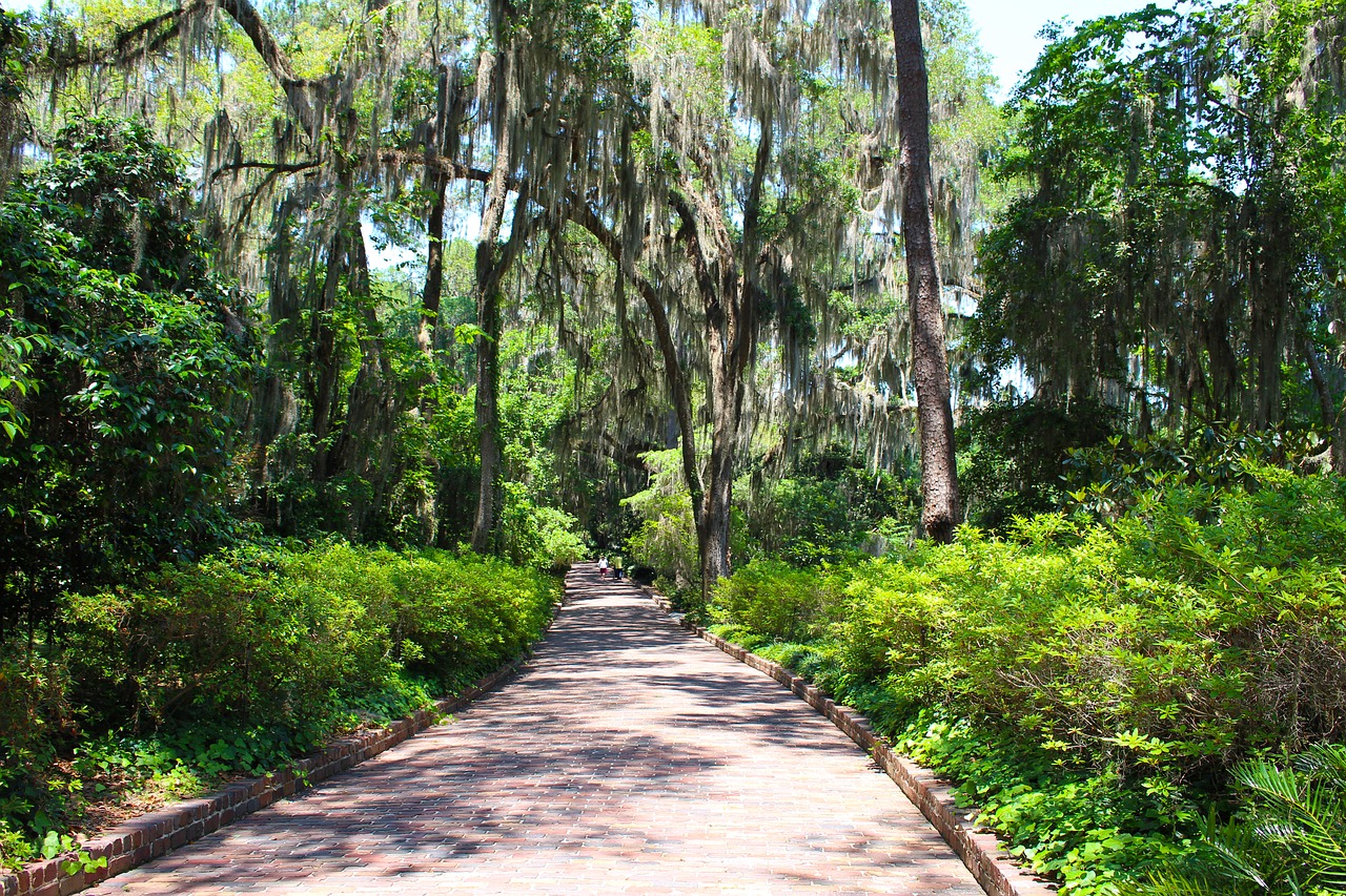 path brick trees free photo