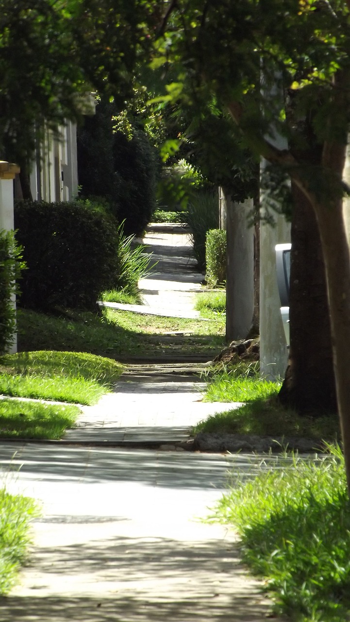 path street stillness free photo