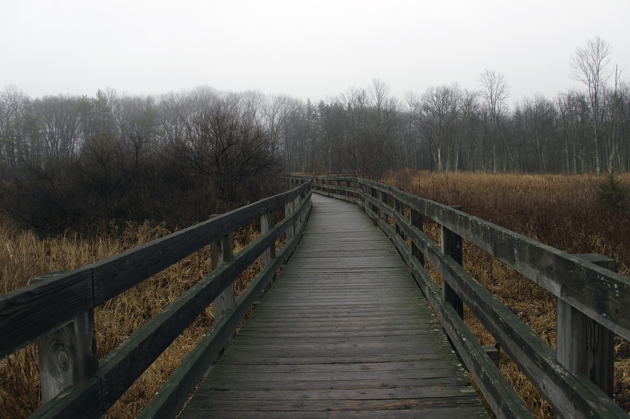 path walkway park free photo