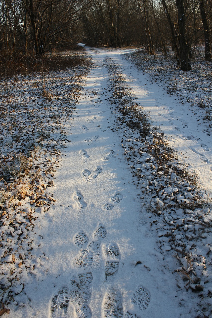 path tracks snow free photo