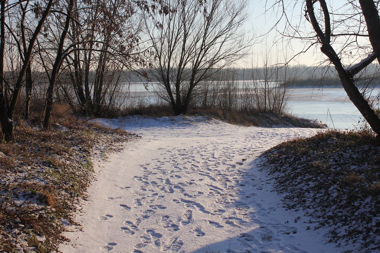 path snow tracks free photo