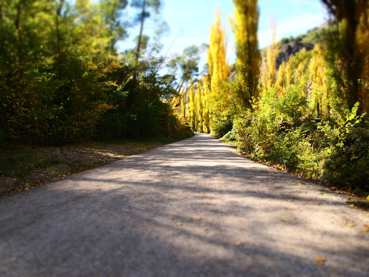 path route autumn free photo