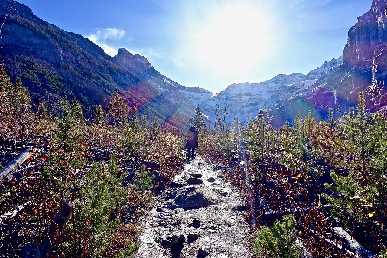 path sunlight trekking free photo