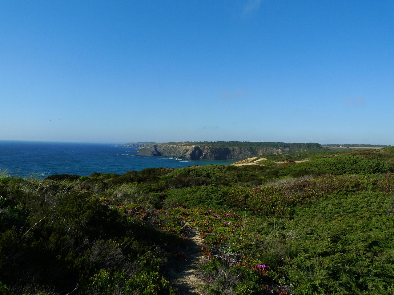 path ocean nature free photo