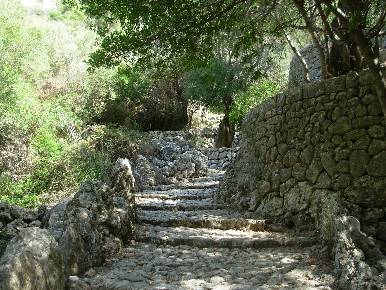 path stones hiking free photo