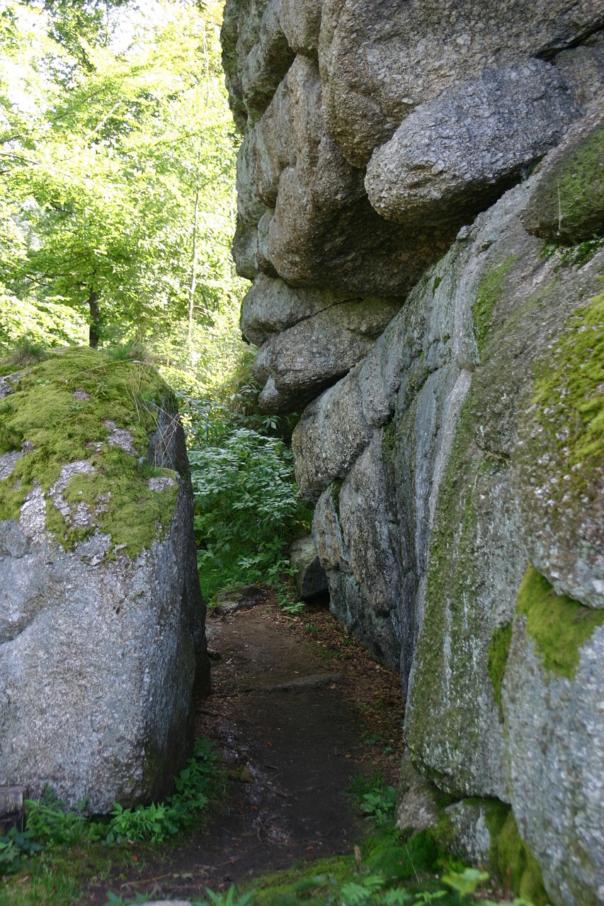 path forest stone free photo