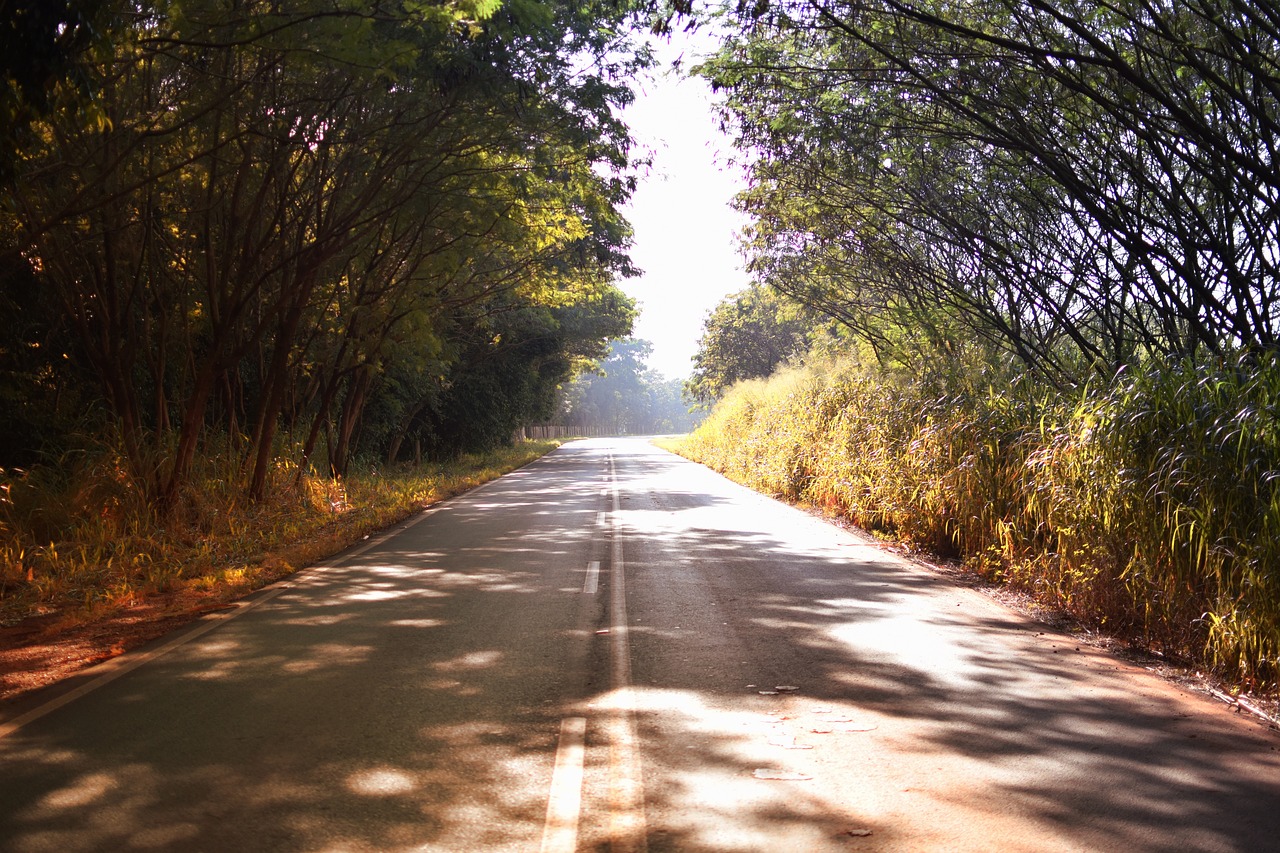 path asphalt lane free photo