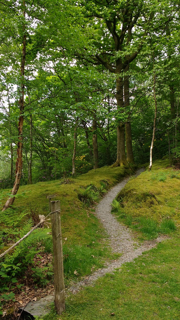 path country walk free photo