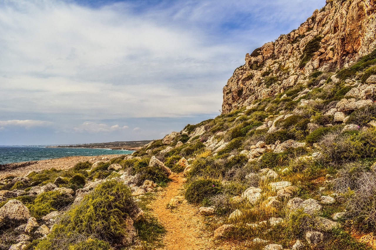 path wilderness landscape free photo