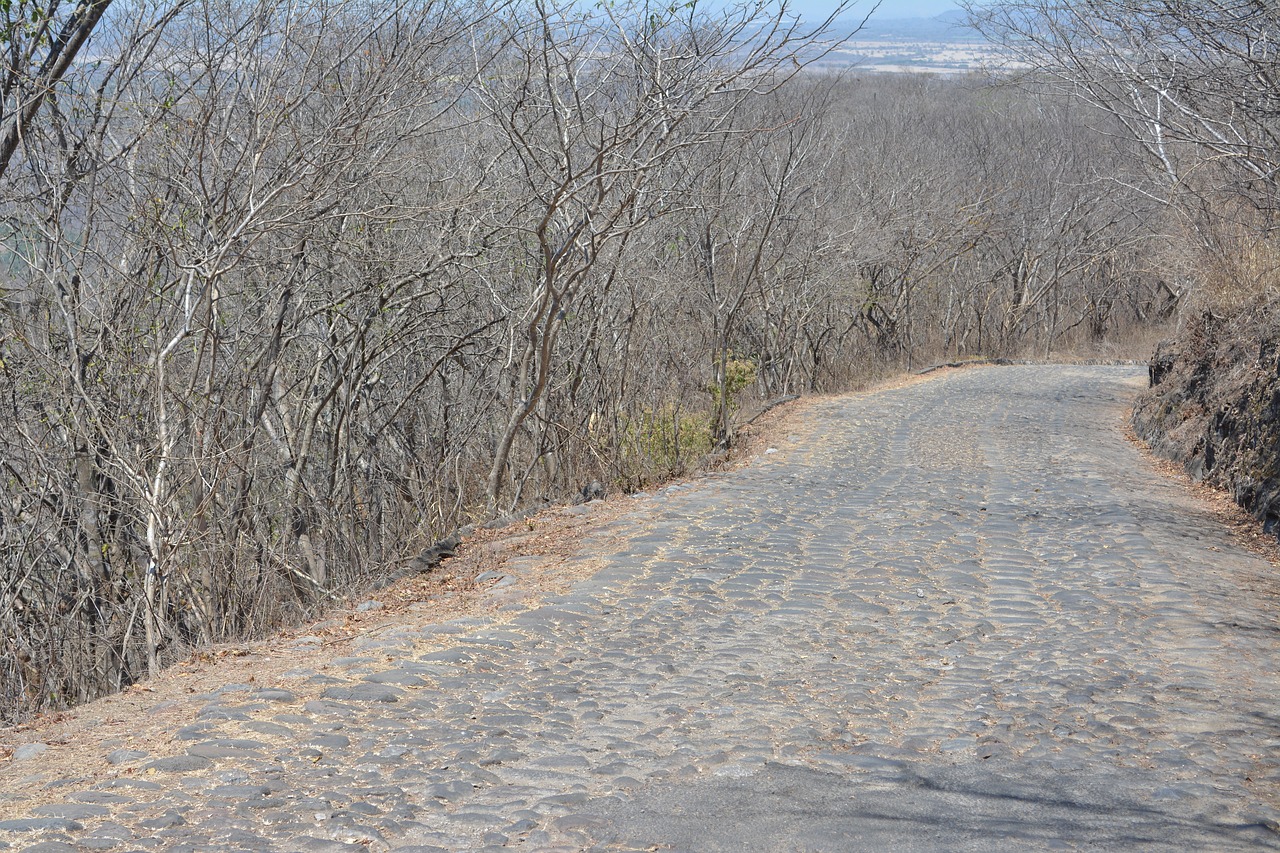 path landscape desert free photo