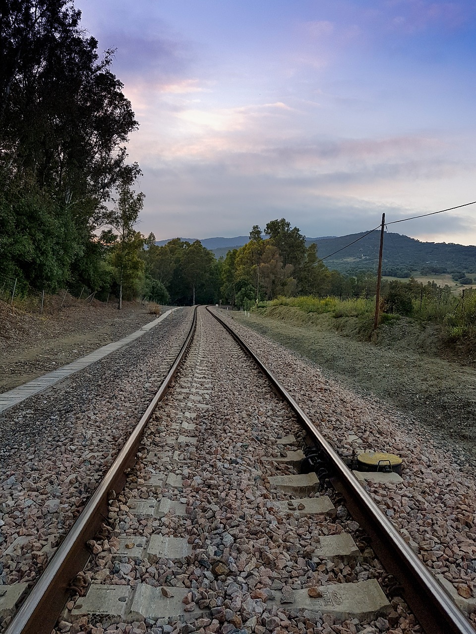 path train via free photo