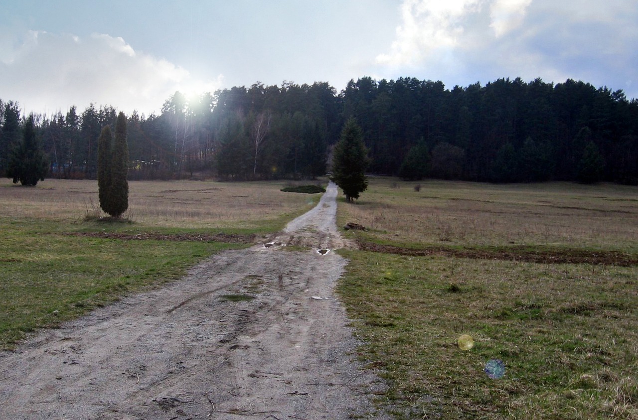 path field this meadow free photo