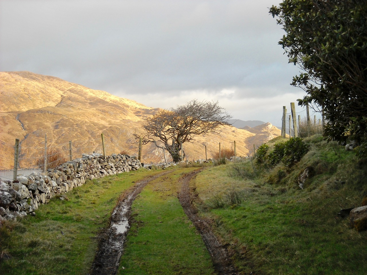 path landscape tracks free photo