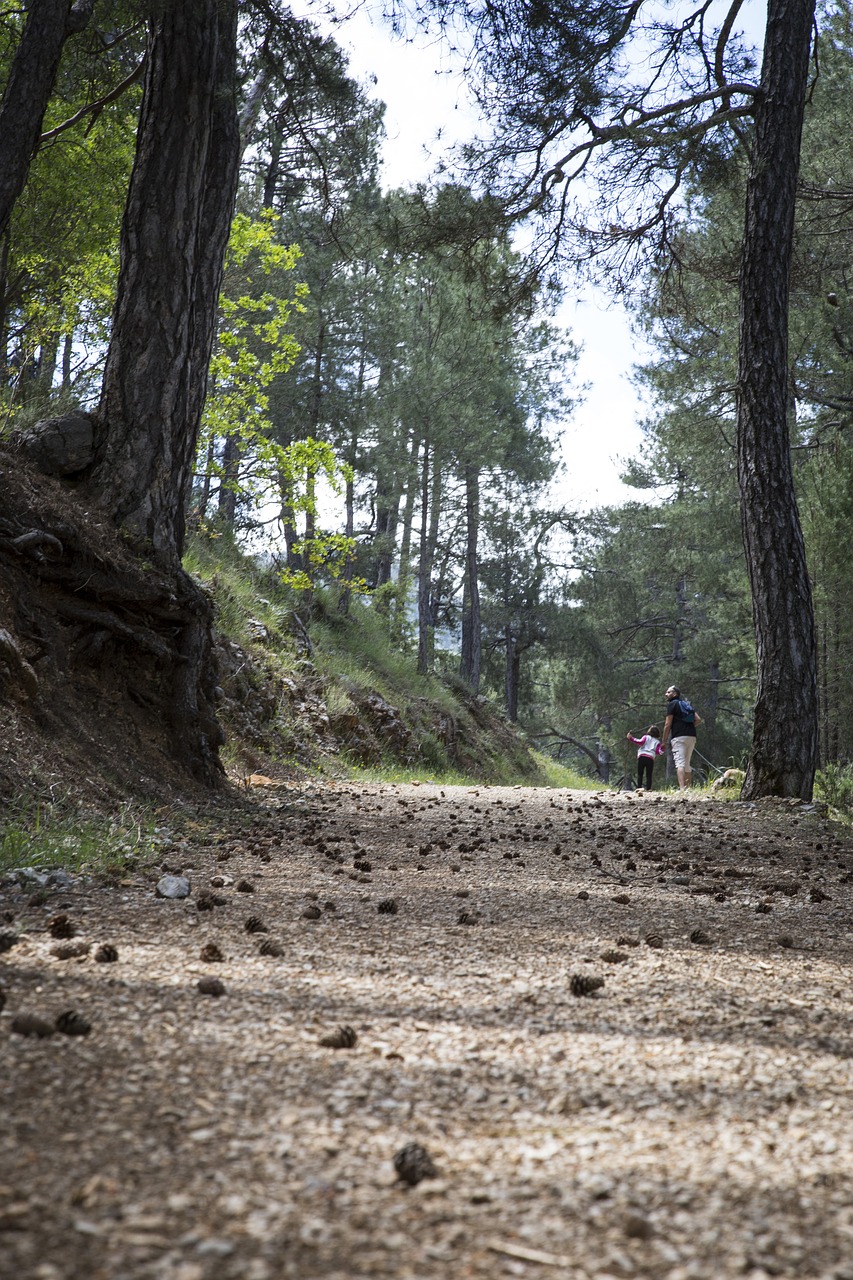 path mountain walk free photo