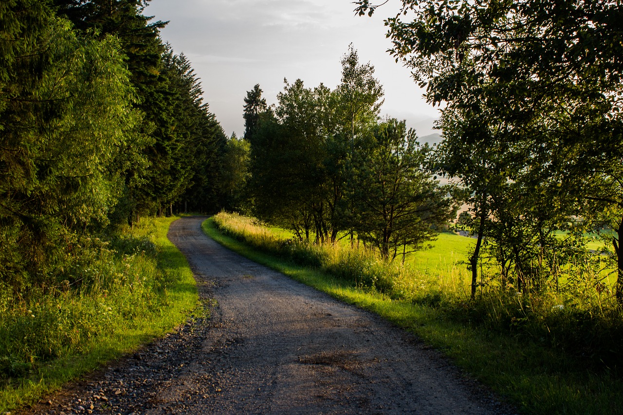 path nature country free photo