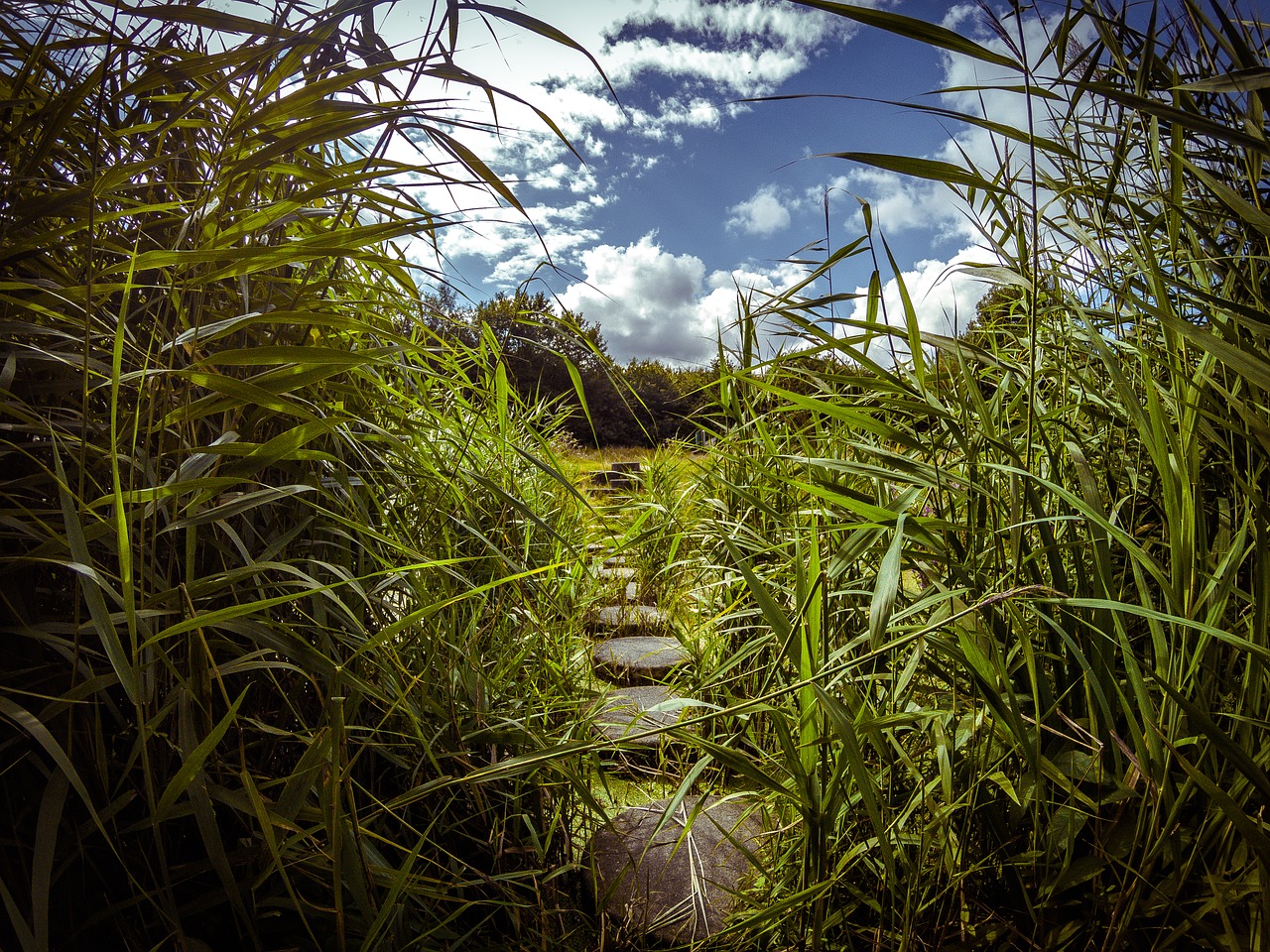 path water stones free photo