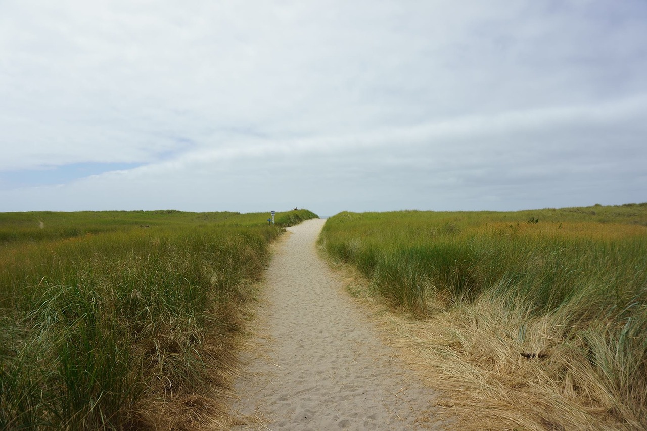 path green grass free photo