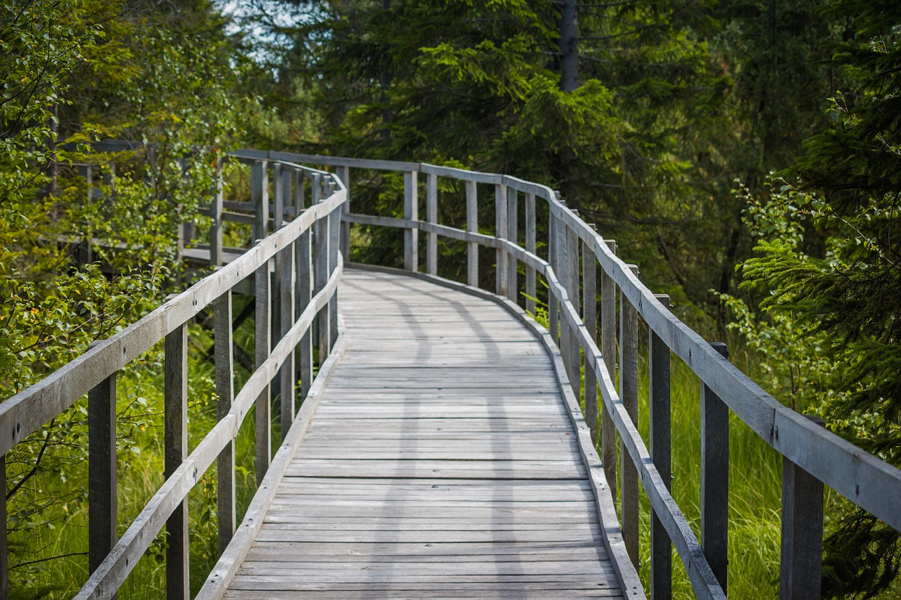 path footbridge wooden walkway free photo