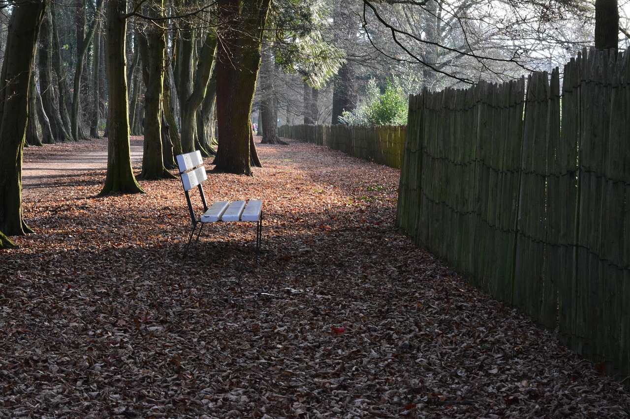 path nature walking path free photo