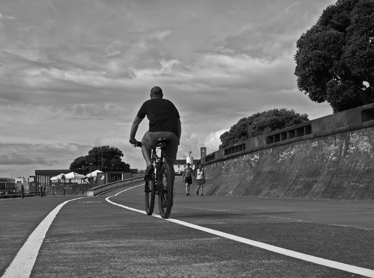 path two wheels cyclist free photo