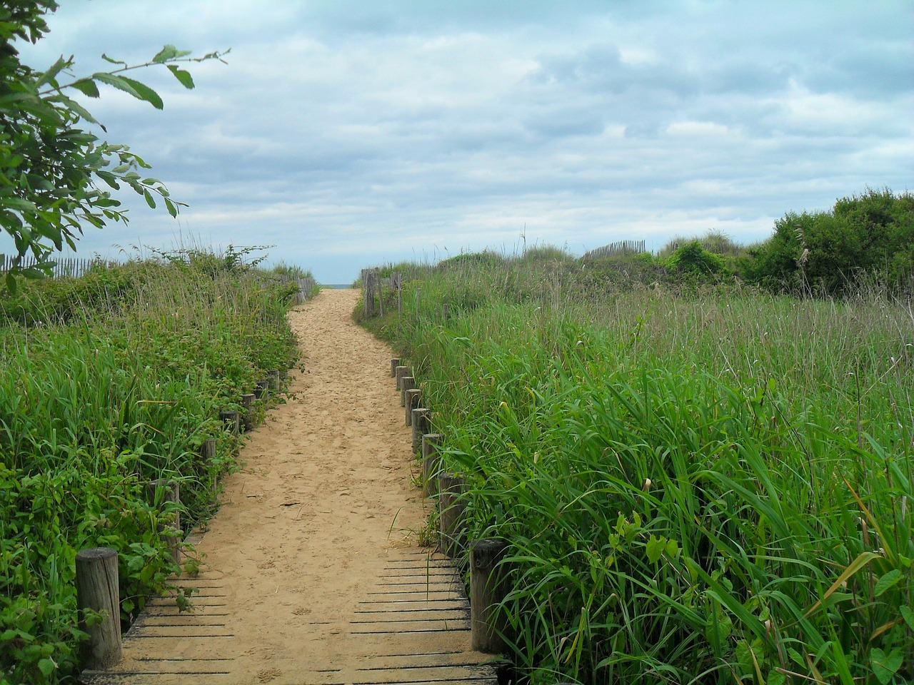 path nature outdoor free photo