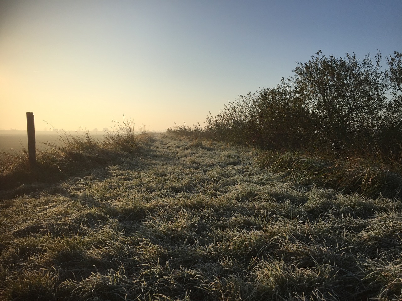 path dew frosty free photo