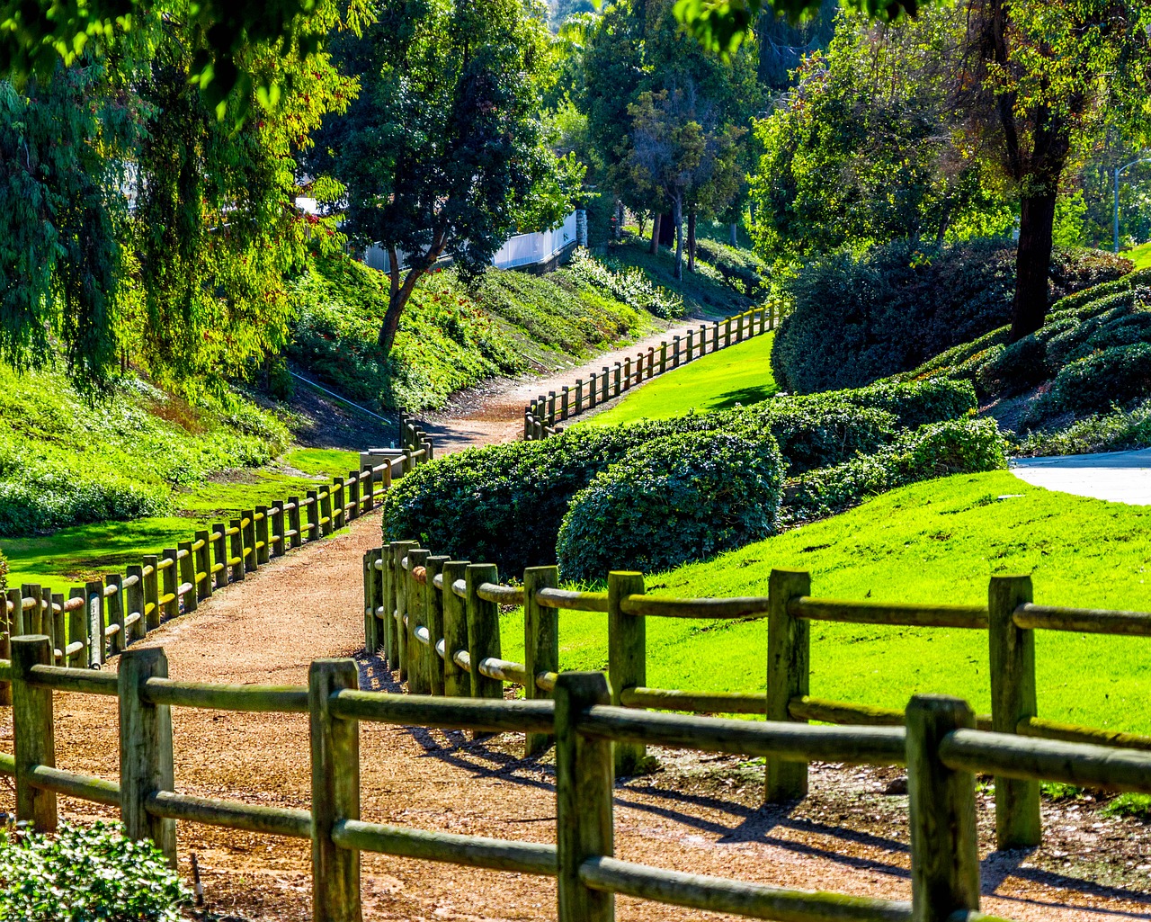 path trail outdoor free photo