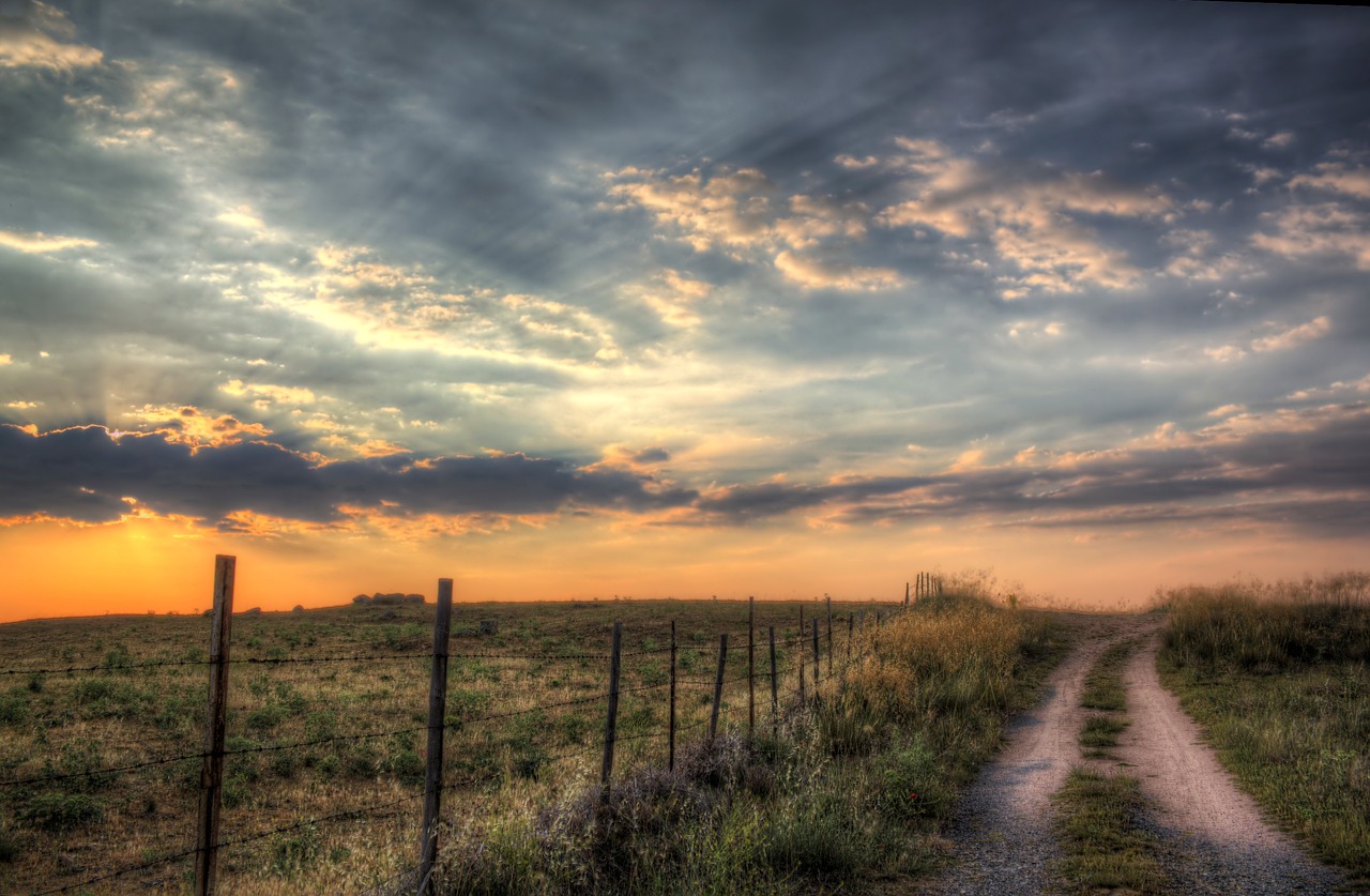 path sunset nature free photo