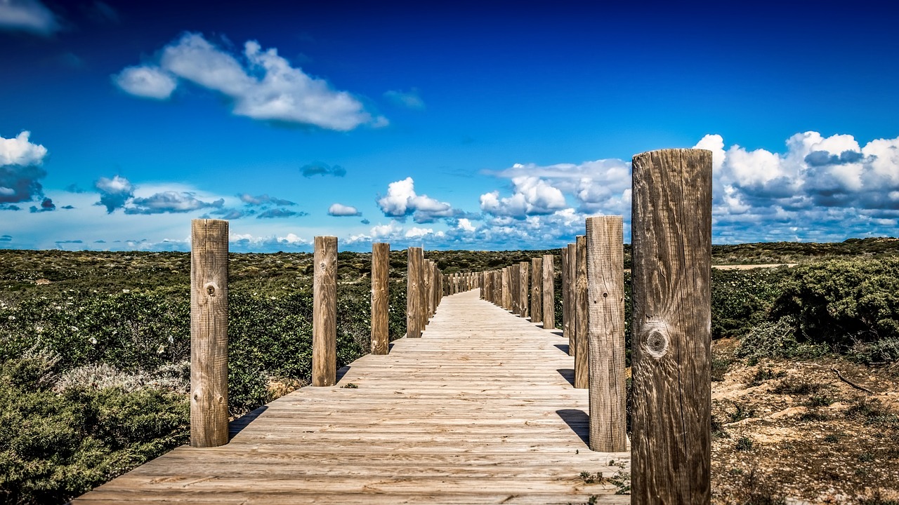 path sky nature free photo