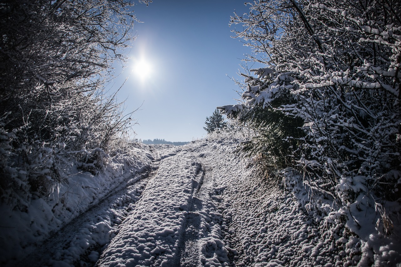 path winter snow free photo