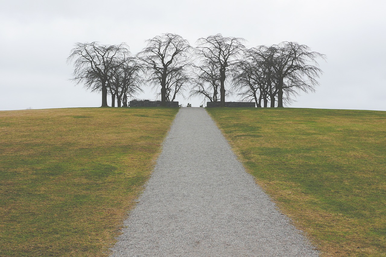 path way trees free photo