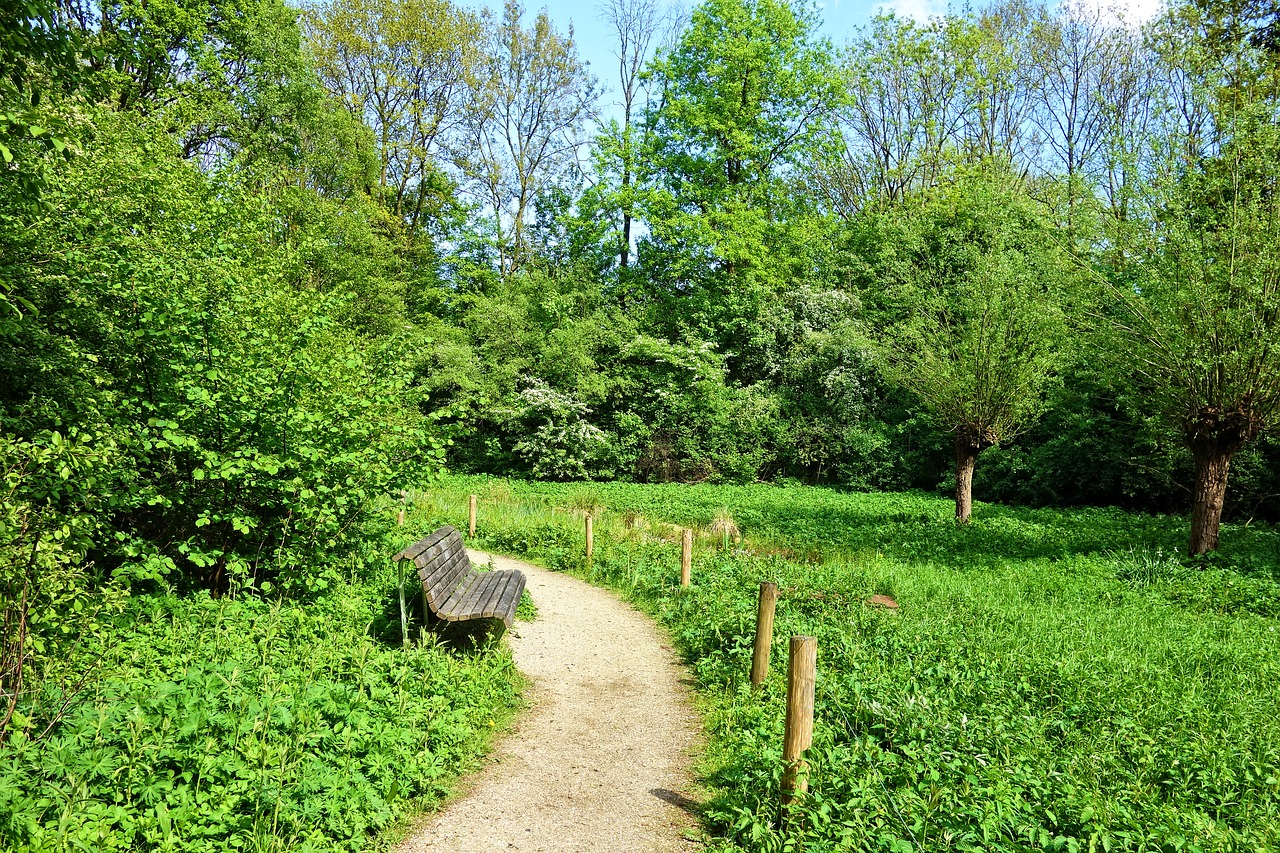 path  footpath  bench free photo