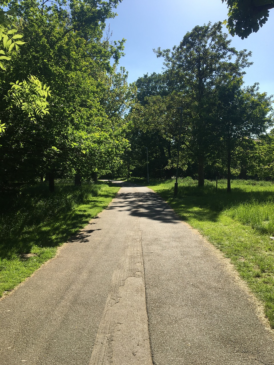 path  sky  blue free photo